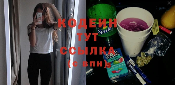 ГАЛЛЮЦИНОГЕННЫЕ ГРИБЫ Гусь-Хрустальный