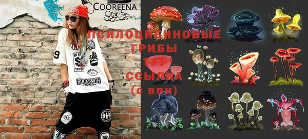 ГАЛЛЮЦИНОГЕННЫЕ ГРИБЫ Гусь-Хрустальный