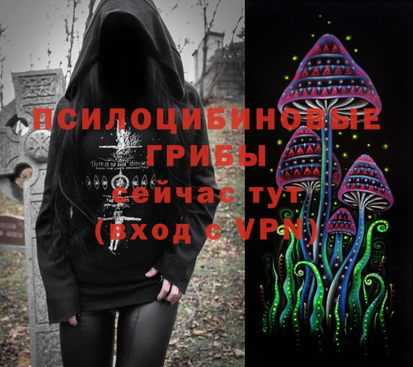 ГАЛЛЮЦИНОГЕННЫЕ ГРИБЫ Гусь-Хрустальный