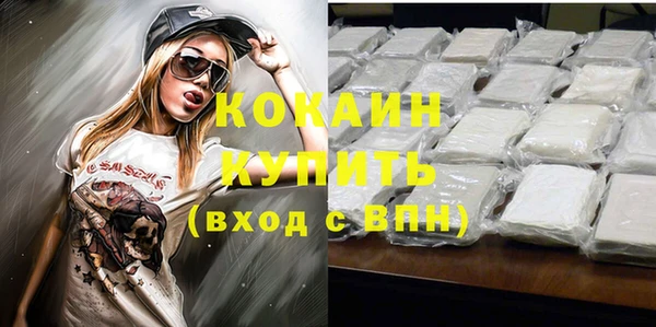 ГАЛЛЮЦИНОГЕННЫЕ ГРИБЫ Гусь-Хрустальный