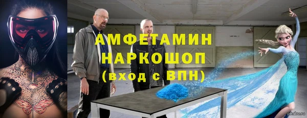 ГАЛЛЮЦИНОГЕННЫЕ ГРИБЫ Гусь-Хрустальный