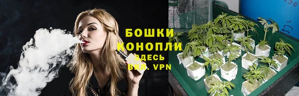 Альфа ПВП Гусев
