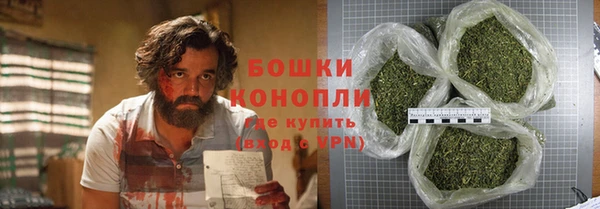 ГАЛЛЮЦИНОГЕННЫЕ ГРИБЫ Гусь-Хрустальный