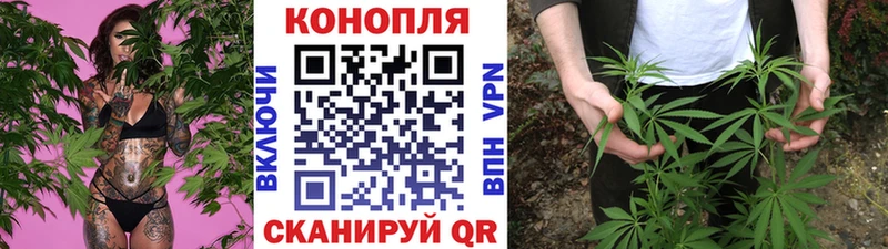 Купить  Канск  Конопля VHQ 